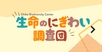 Chiba Biodiversity Center生命のにぎわい調査団