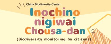 Chiba Biodiversity Center生命のにぎわい調査団