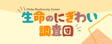 Chiba Biodiversity Center生命のにぎわい調査団