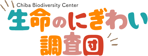 Chiba Biodiversity Center生命のにぎわい調査団